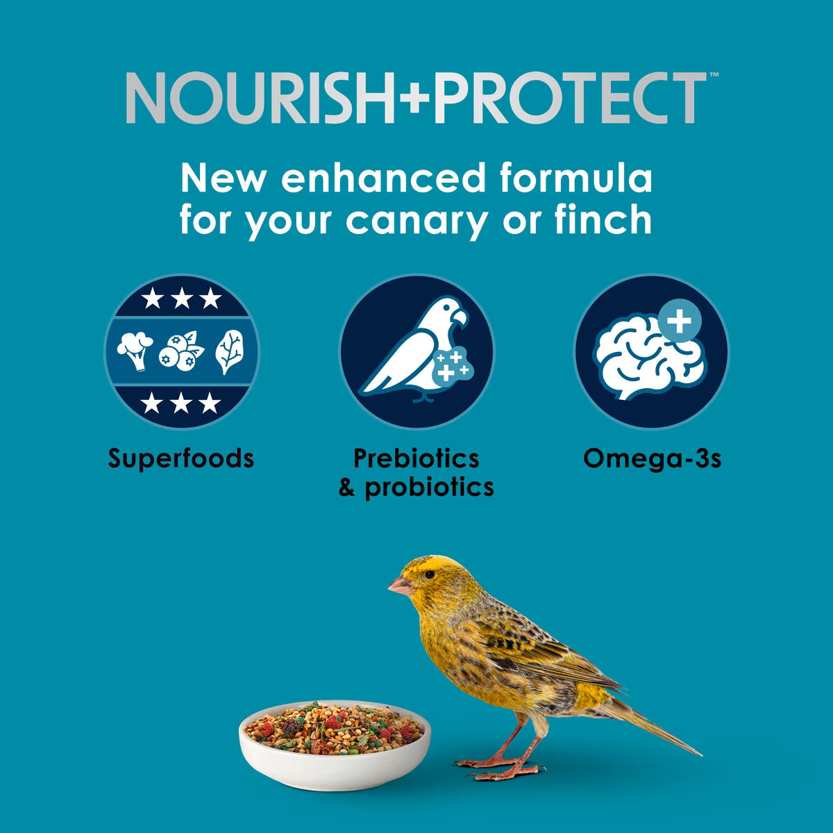 Kaytee Forti-Diet Pro Health Nourish+Protect Canary & Finch Food 2lb
