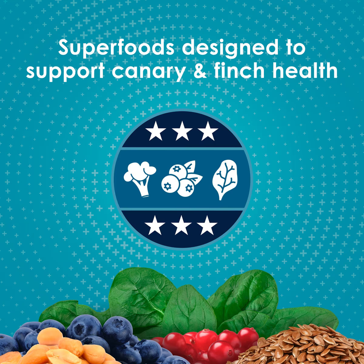 Kaytee Forti-Diet Pro Health Nourish+Protect Canary & Finch Food 2lb