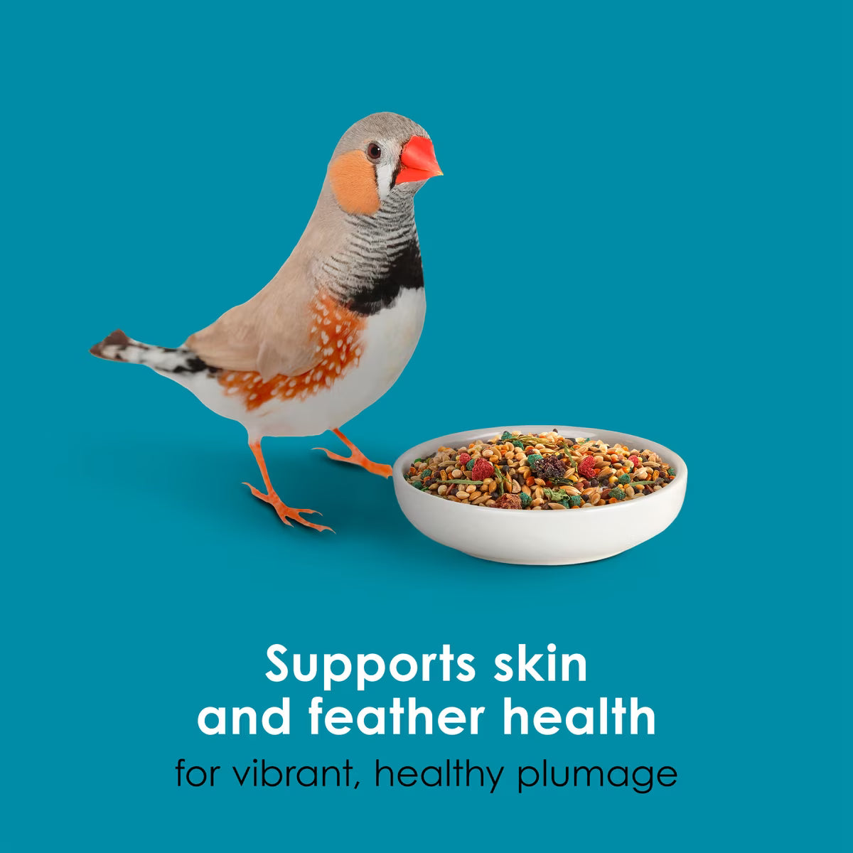 Kaytee Forti-Diet Pro Health Nourish+Protect Canary & Finch Food 2lb