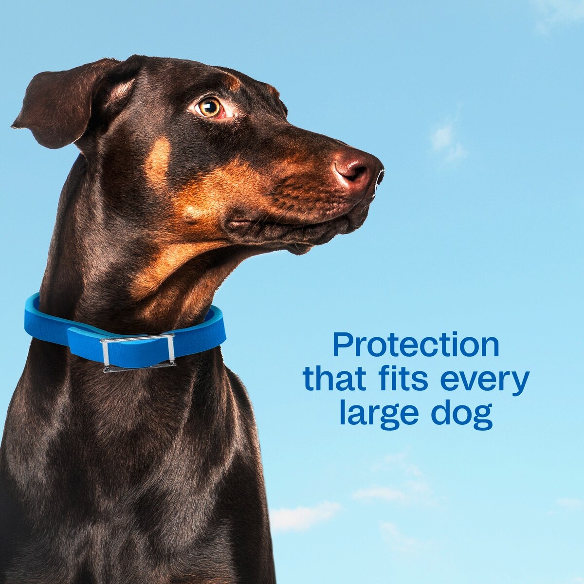 Adams Plus Flea & Tick Collar for Large Dogs 1ct 7 Month Supply