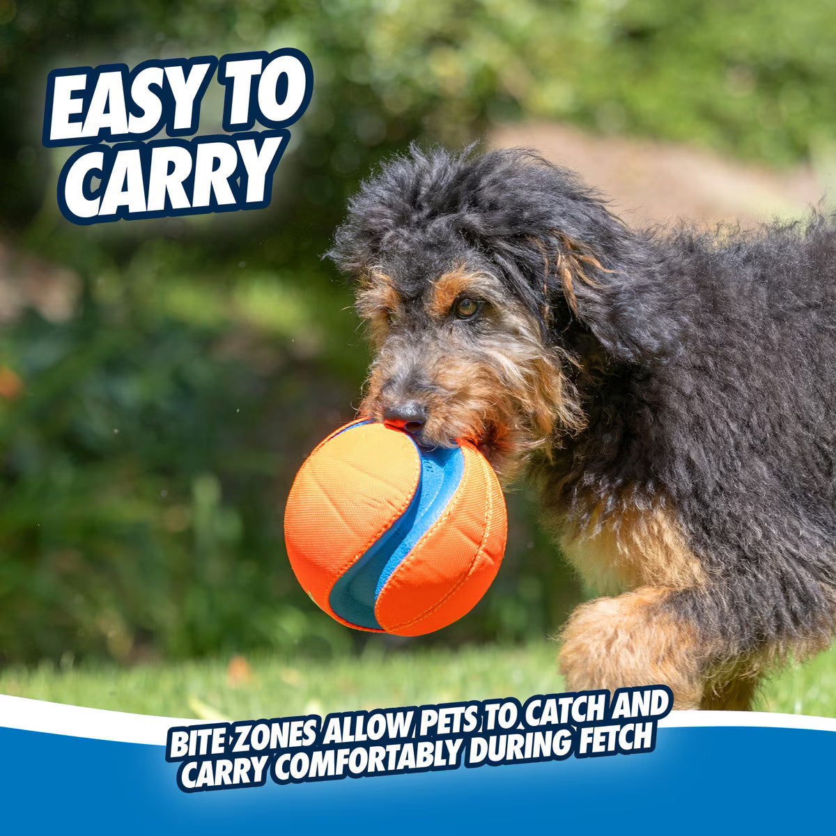 CAN TOY KICK FETCH LG