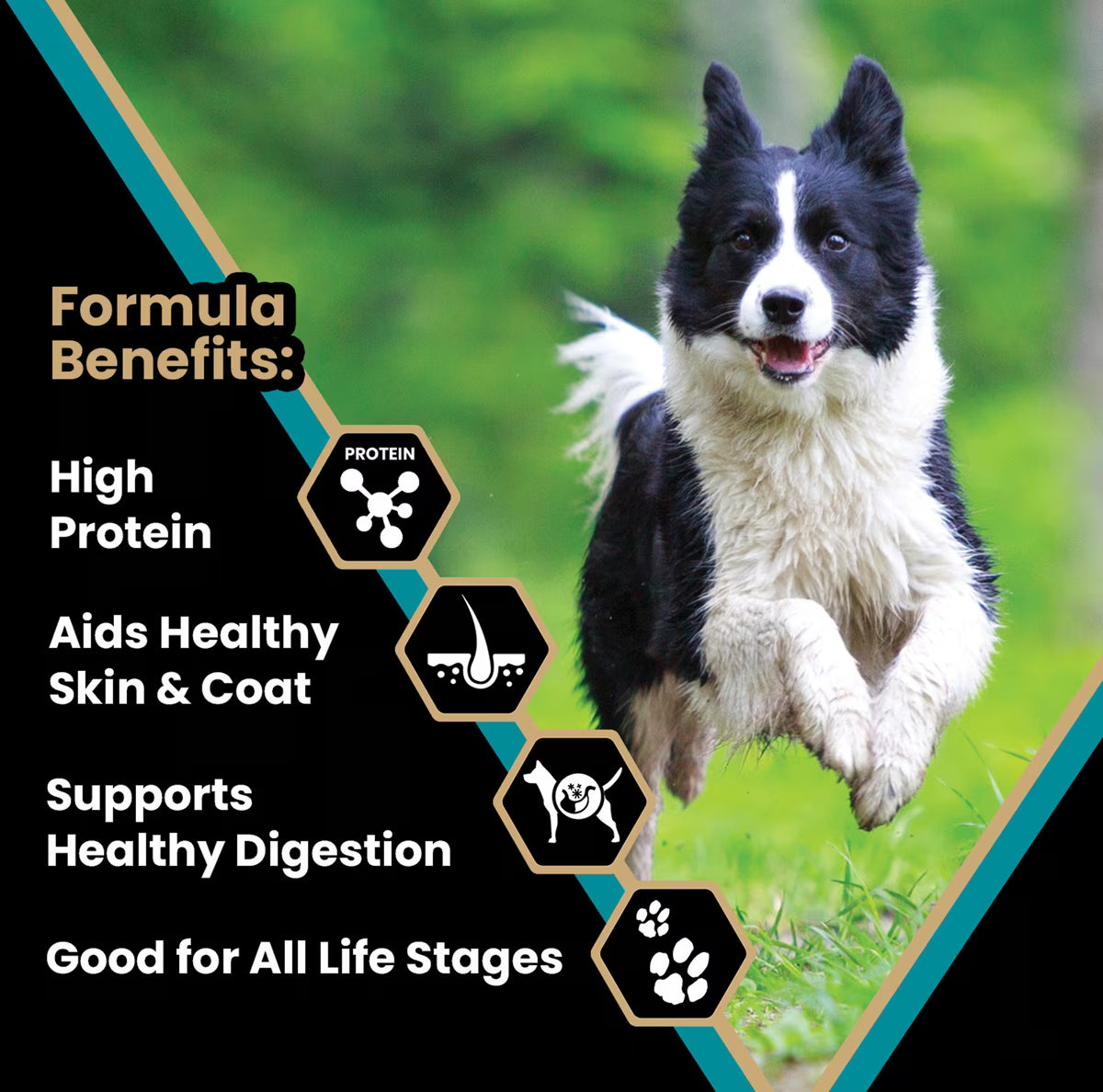VICTOR Hi-Pro Plus 30/20 Active Sporting High Protein Gluten-Free Dry Dog Food 50lb