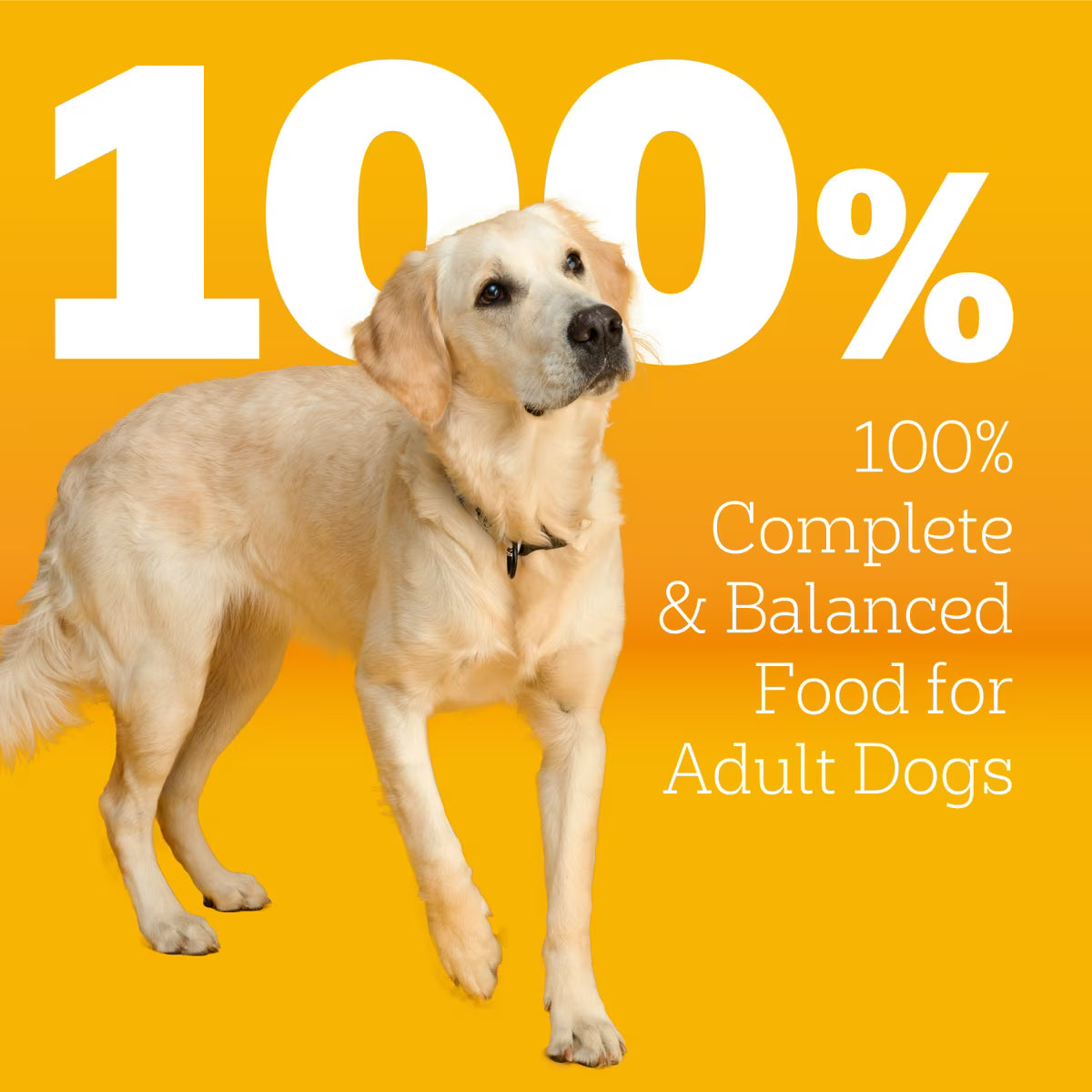 Pedigree Large Breed Adult Roasted Chicken, Rice & Vegetable Flavor Dry Dog Food 16 LB