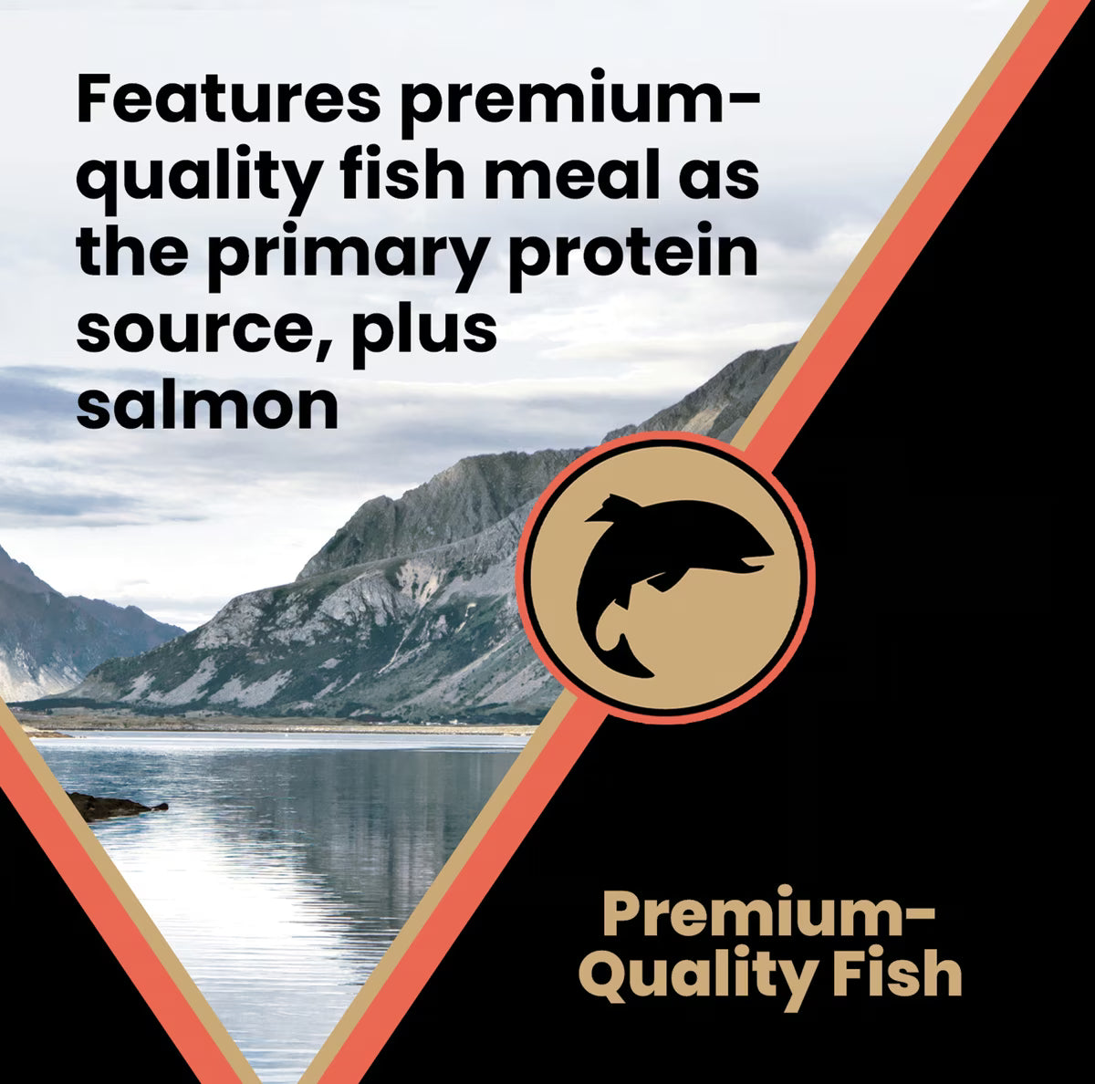 VICTOR Grain-Free Yukon River Canine with Salmon High Protein Dry Dog Food 30lb