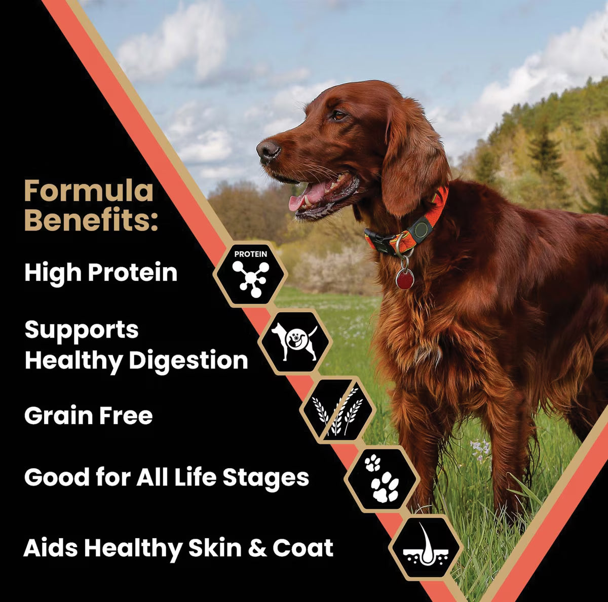 VICTOR Grain-Free Yukon River Canine with Salmon High Protein Dry Dog Food 30lb