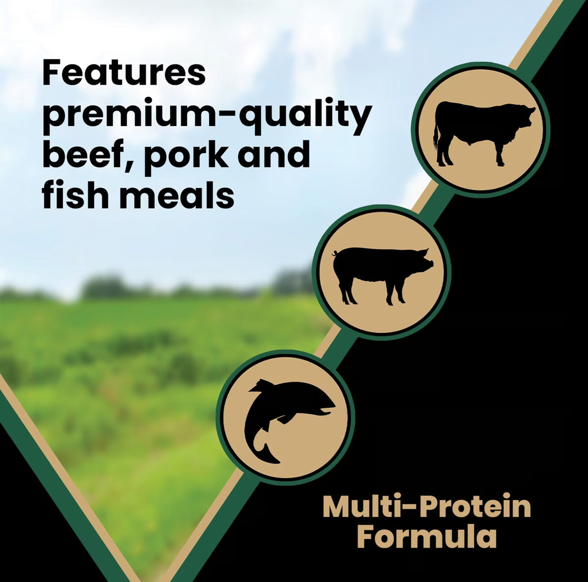 VICTOR Grain-Free Hero Canine Hip & Joint Support High Protein Adult Active Dry Dog Food 50 lb