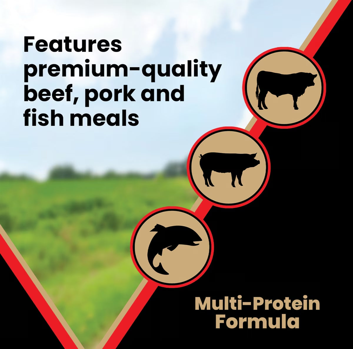 VICTOR Grain-Free Active High Protein Dry Dog Food 30lb