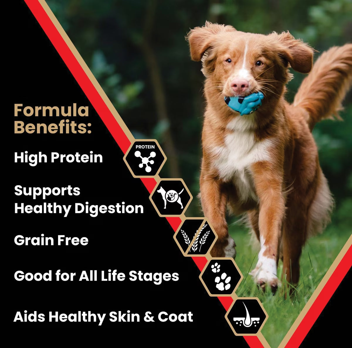 VICTOR Grain-Free Active High Protein Dry Dog Food 30lb