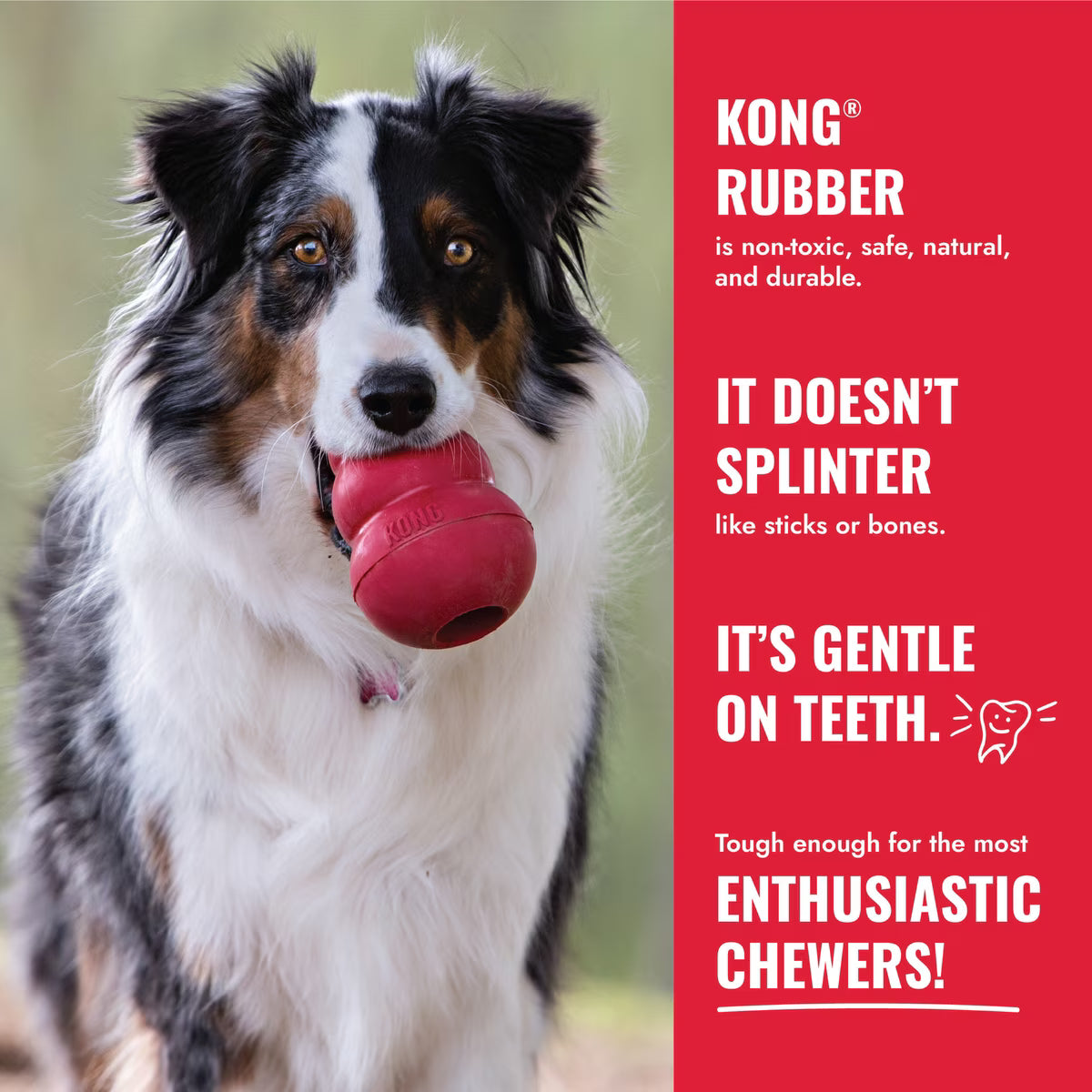 Kong Classic Ball with Holes for Dogs Small