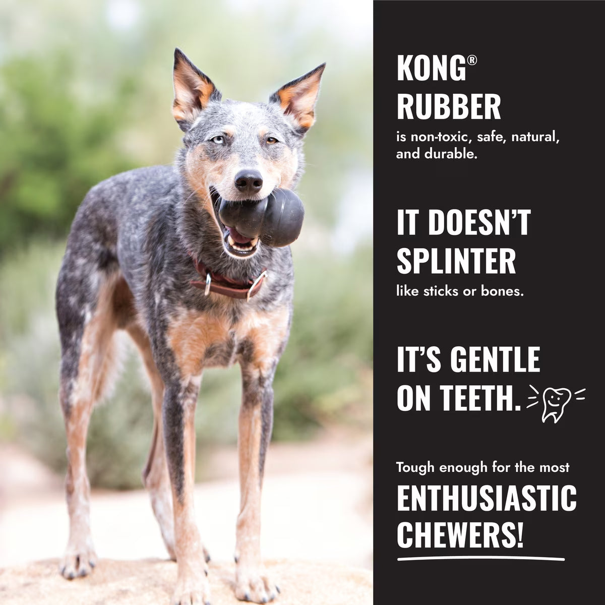 Kong Extreme Black Dog Toy Medium