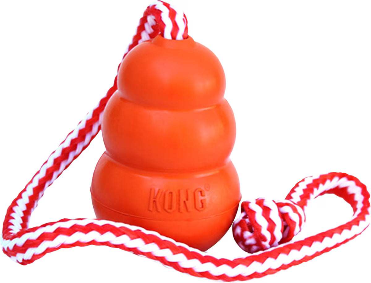 KOOL KONG AQUAROBICS