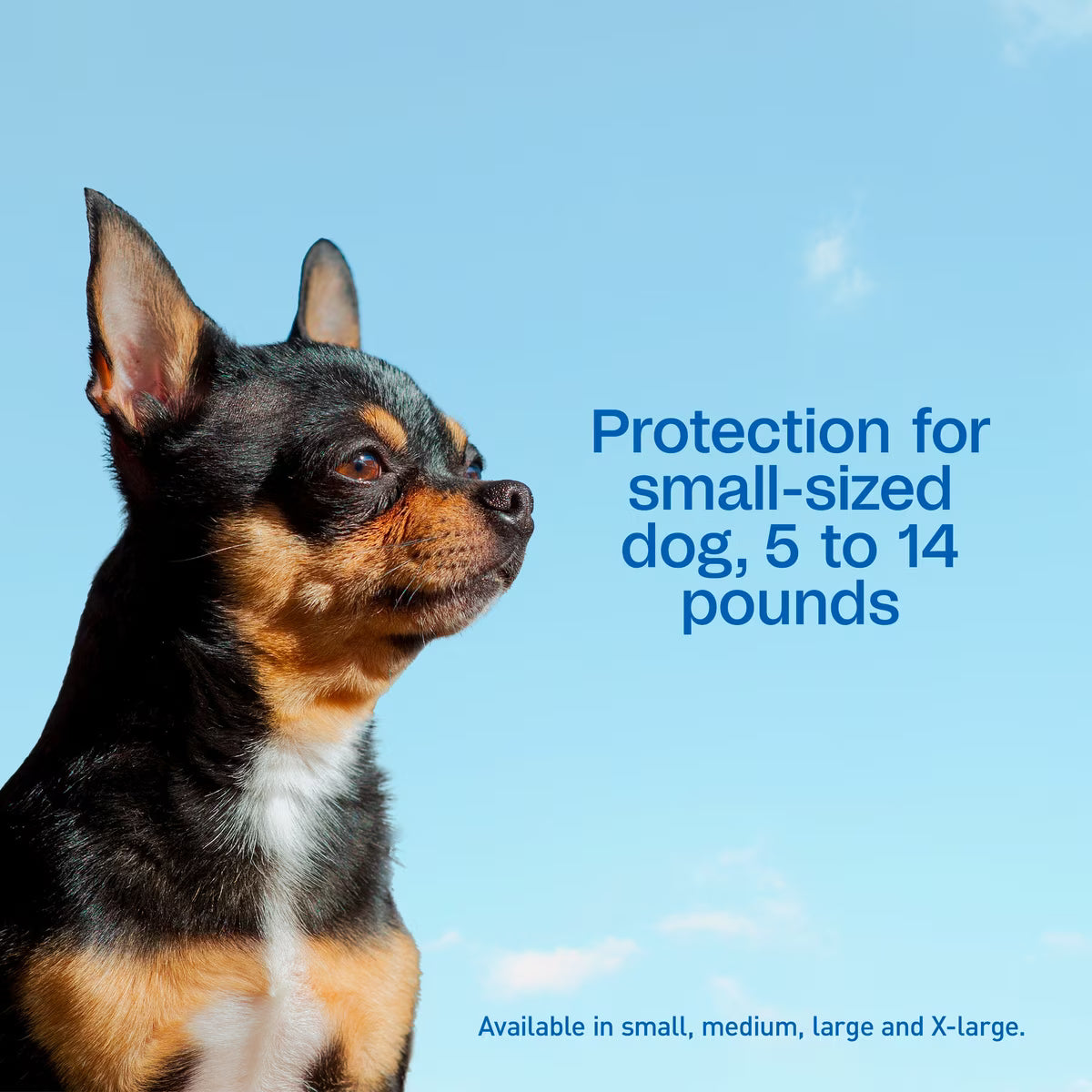 Adams Plus Flea & Tick Prevention Spot On for Toy/Small Dogs 5-14lb 3 Month Supply