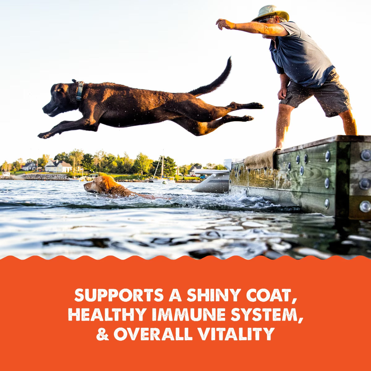 Grizzly Salmon Oil Plus Omega 3-6-9 Food Supplement for Dogs & Cats 8oz