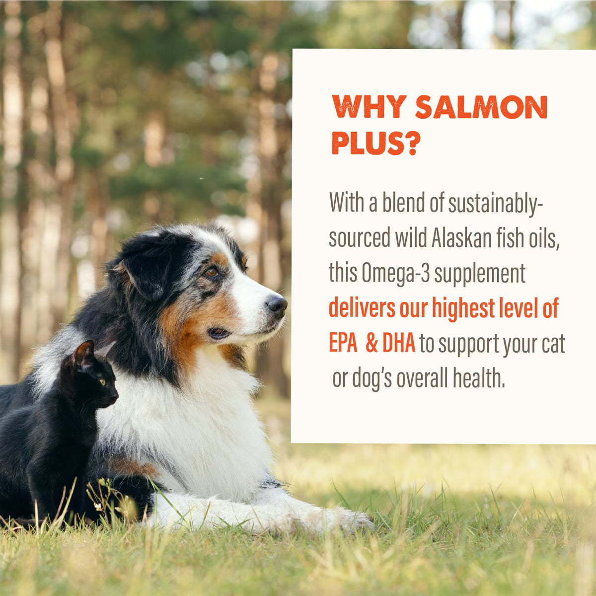 Grizzly Salmon Oil Plus Omega 3-6-9 Food Supplement for Dogs & Cats 8oz