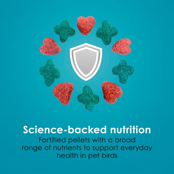 Kaytee Forti-Diet Nourish+Protect Parrot Food 8lb