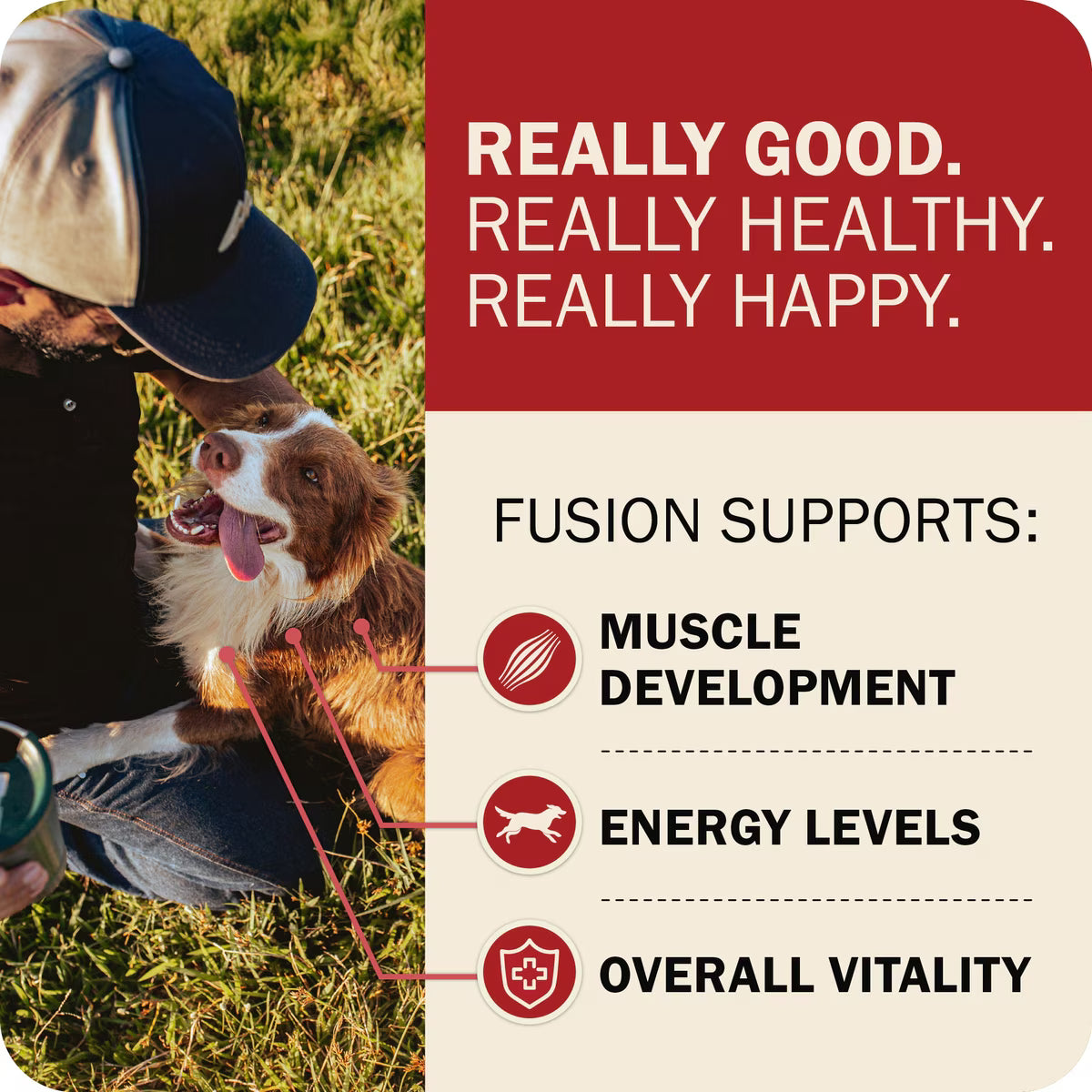 Redbarn Powerfood Fusion Air Dried Grain-Free Land Beef & Lamb Recipe Kibble Blend Dry Dog Food 3.5lb