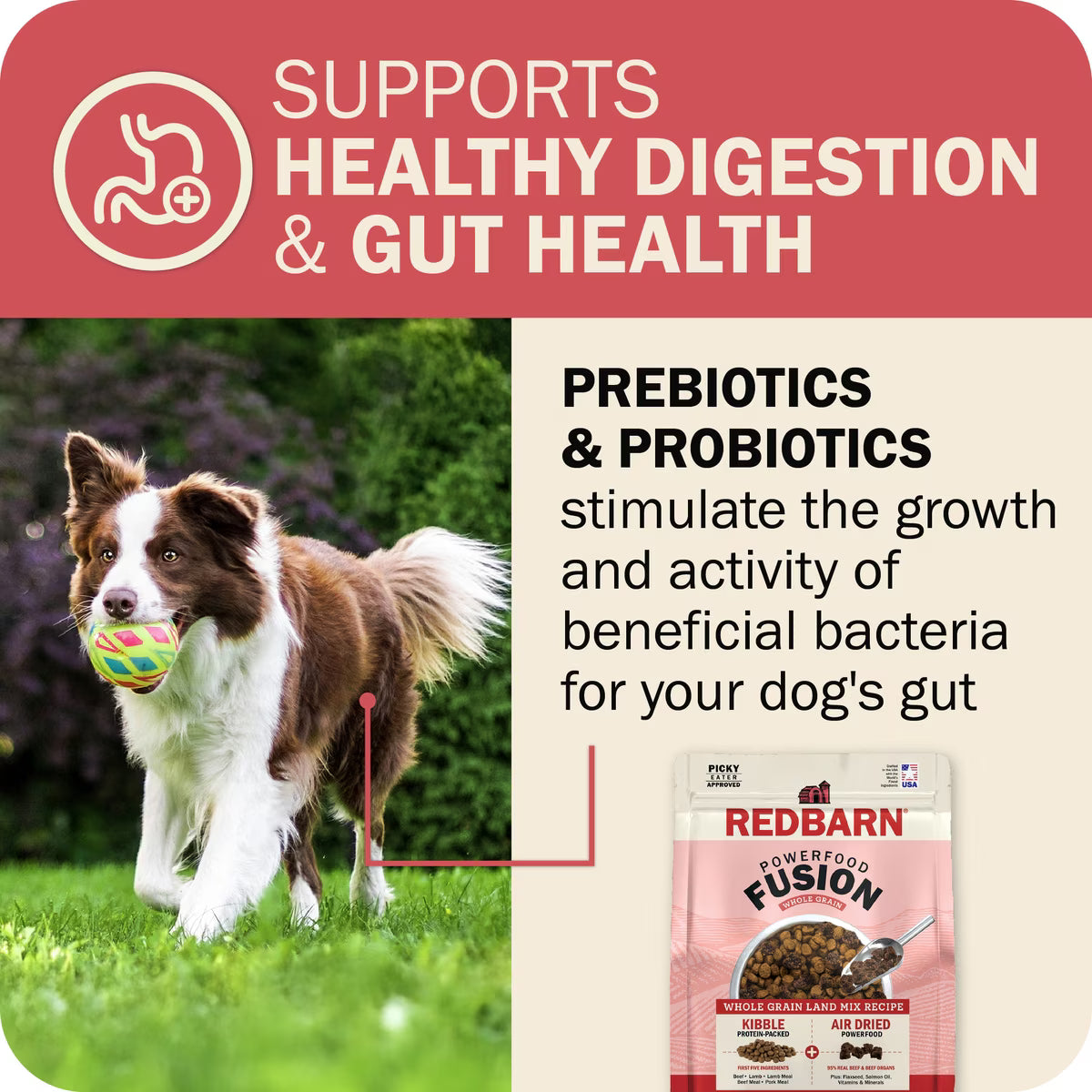 Redbarn Powerfood Fusion Air Dried Whole Grain Land Beef & Lamb Recipe Kibble Blend Dry Dog Food3.5lb