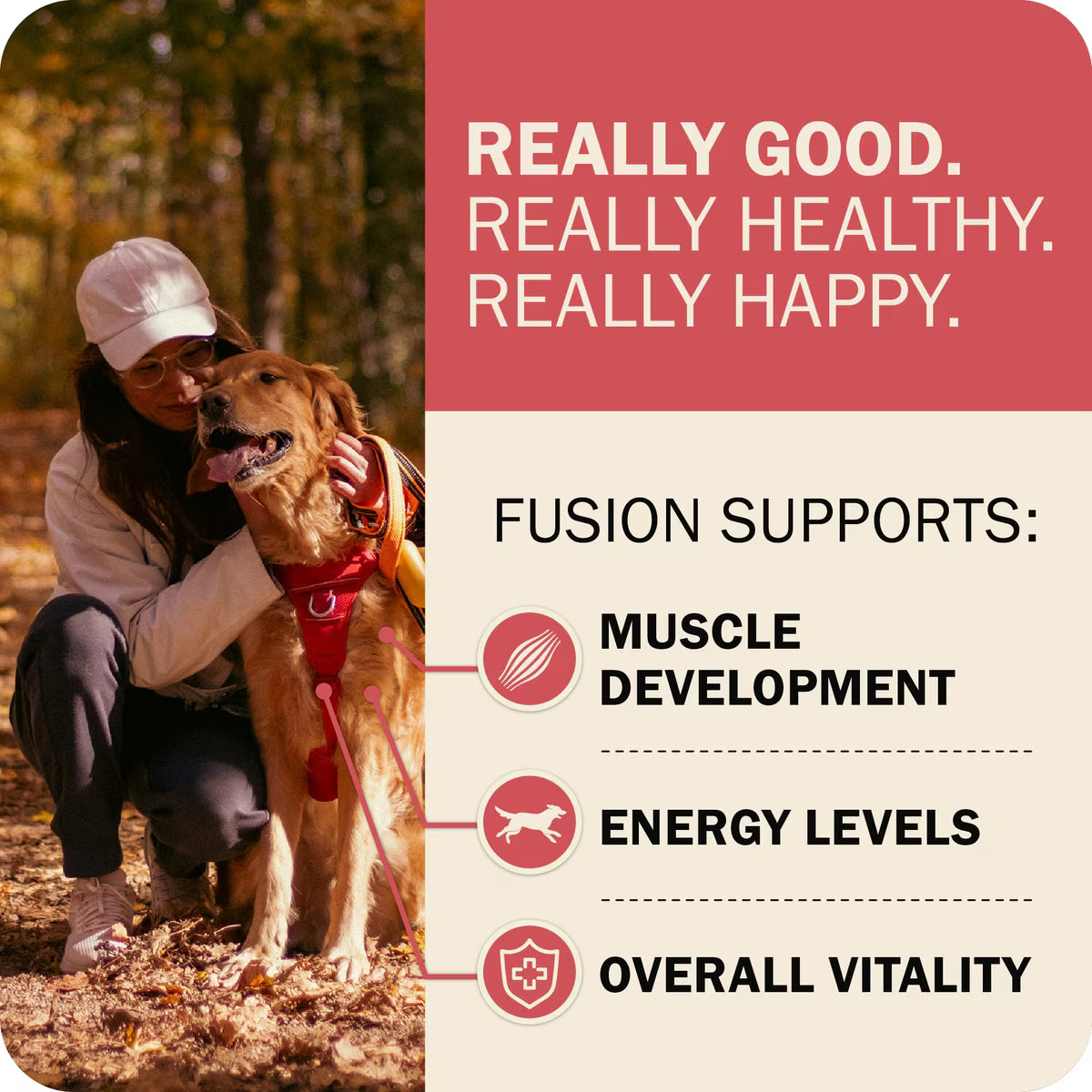 Redbarn Powerfood Fusion Air Dried Whole Grain Land Beef & Lamb Recipe Kibble Blend Dry Dog Food3.5lb