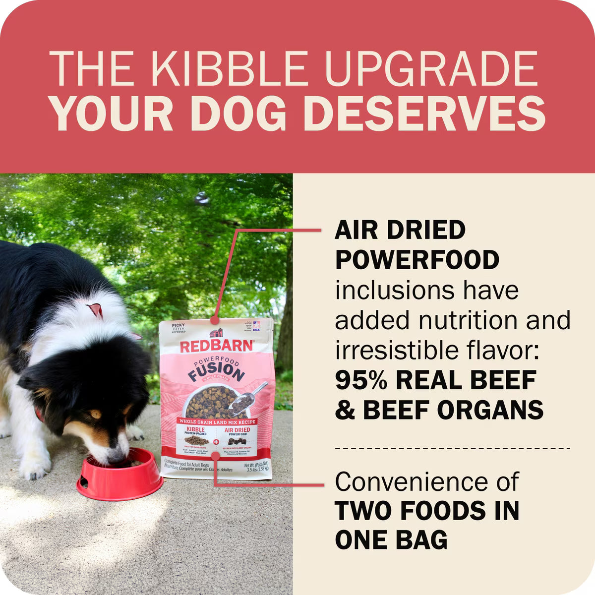 Redbarn Powerfood Fusion Air Dried Whole Grain Land Beef & Lamb Recipe Kibble Blend Dry Dog Food3.5lb