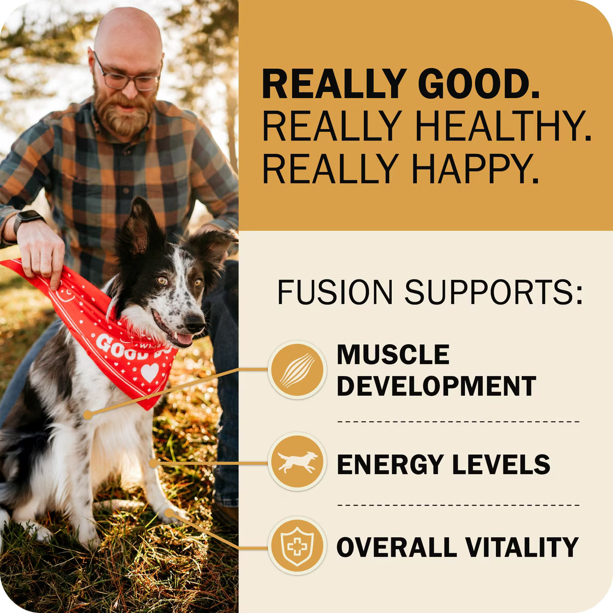 Redbarn Powerfood Fusion Air Dried Whole Grain Sky Chicken & Turkey Recipe Kibble Blend Dry Dog Food 20lb