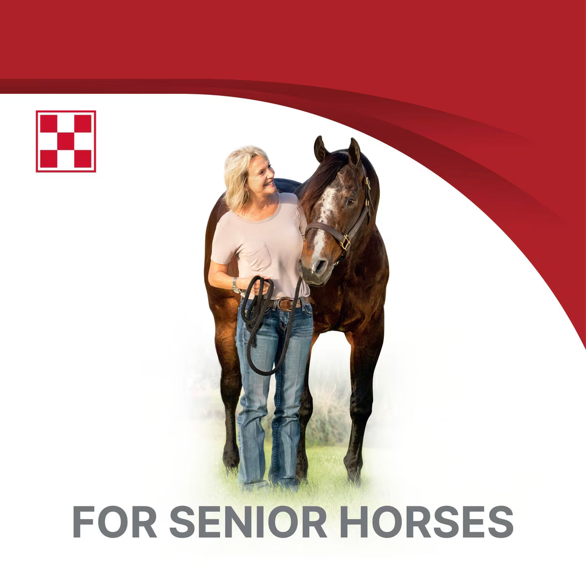 Purina Equine Senior Horse Feed 50lb