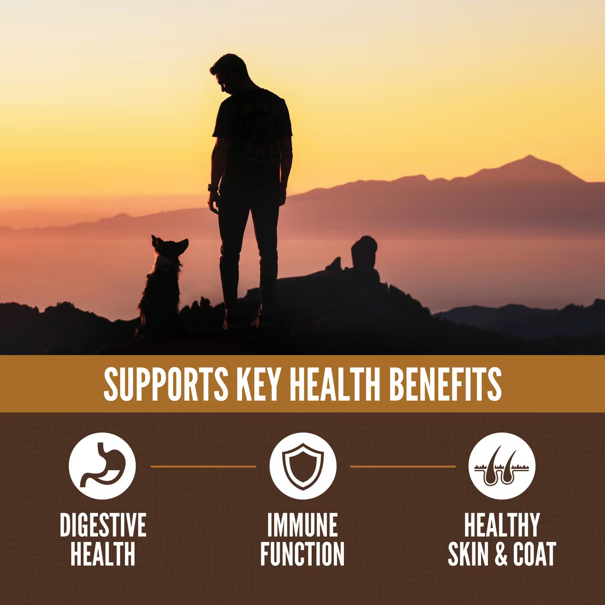 ORIJEN Amazing Grains Regional Red High-Protein Dry Dog Food 22.5