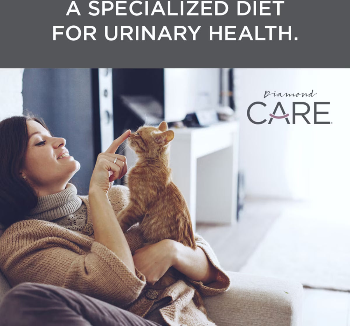Diamond Care Urinary Support Formula Adult Dry Cat Food 6lb