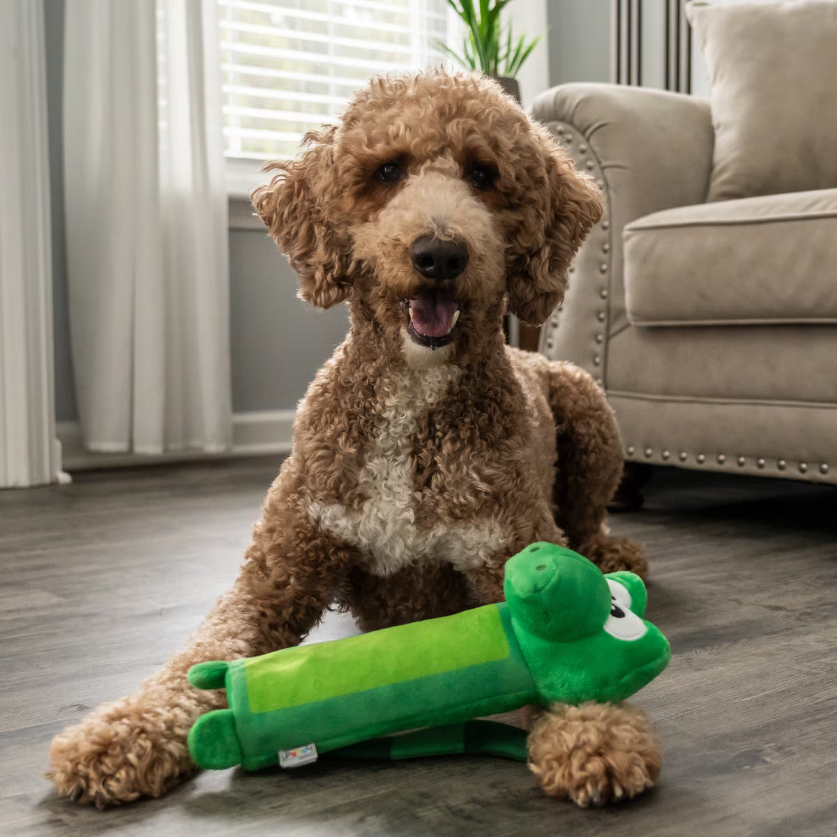 Outward Hound Bottle Bros Alligator Plush Squeaky & Crackle Dog Toy