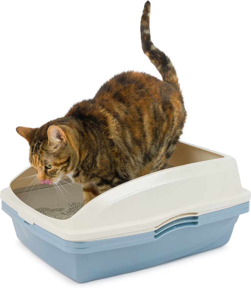 Van Ness Sifting Cat Litter Pan with Frame