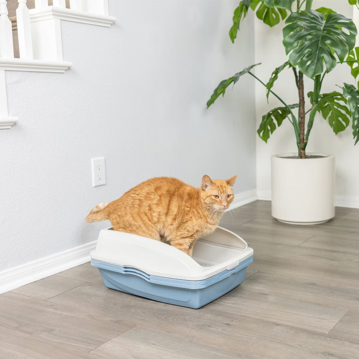 Van Ness Sifting Cat Litter Pan with Frame