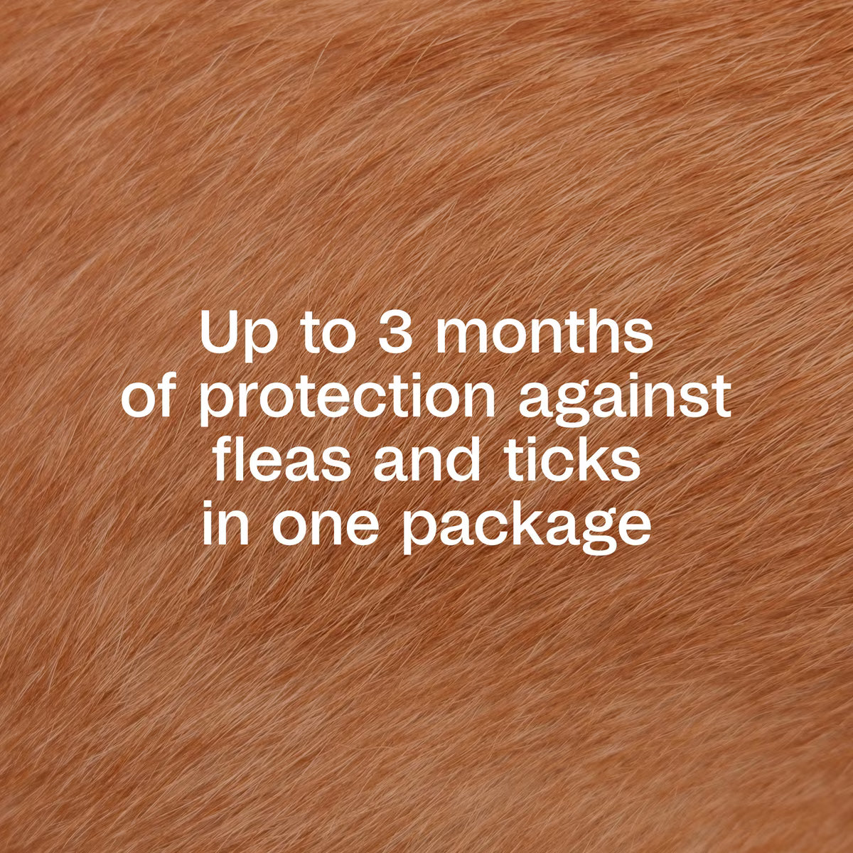 Adams Plus Flea & Tick Prevention Spot On for Toy/Small Dogs 5-14lb 3 Month Supply