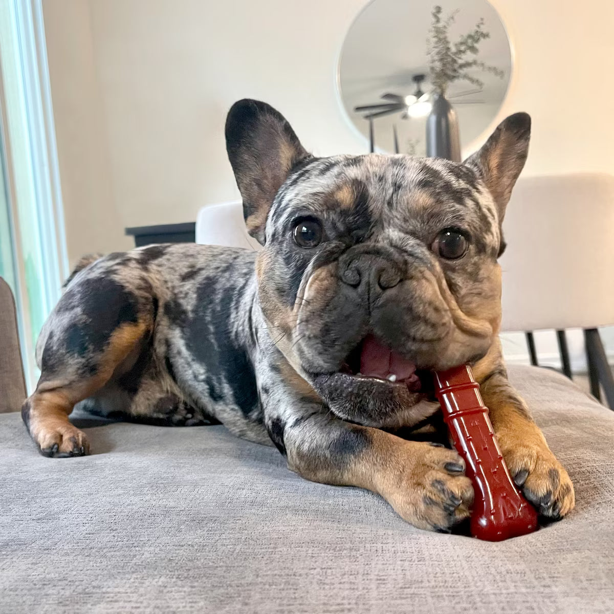 Nylabone Power Chew Basted Blast Dual Flavored Dog Chew Medium