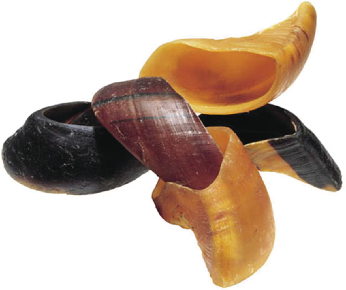 RBP TREAT HOOVES 10PK -