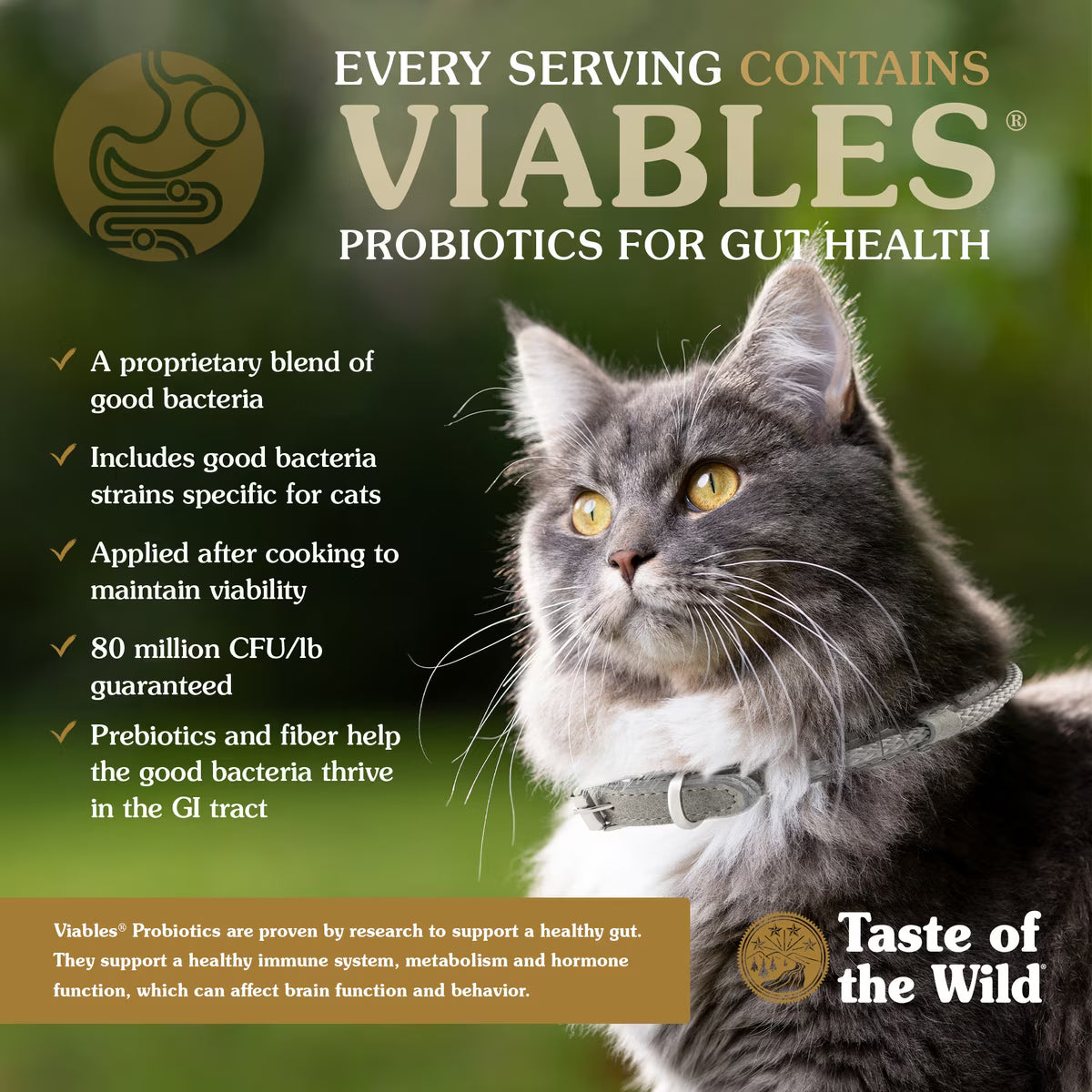 Taste Of The Wild Rocky Mountain All Life Stages Grain-Free Roasted Venison & Smoked Flavored Salmon Recipe Dry Cat Food 14lb