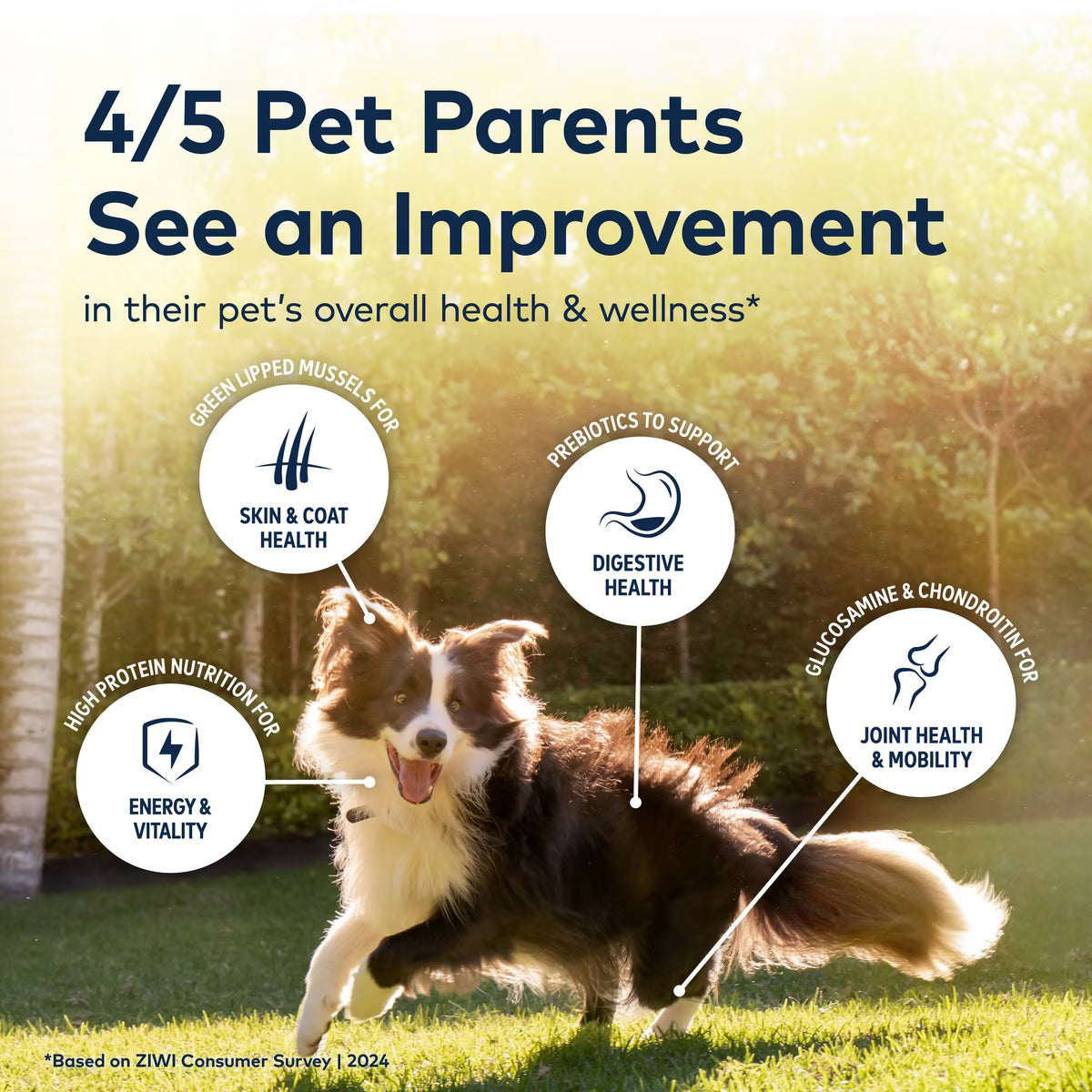 ZIWI Peak Tripe & Lamb Grain-Free Air-Dried Dog Food 2.2LB
