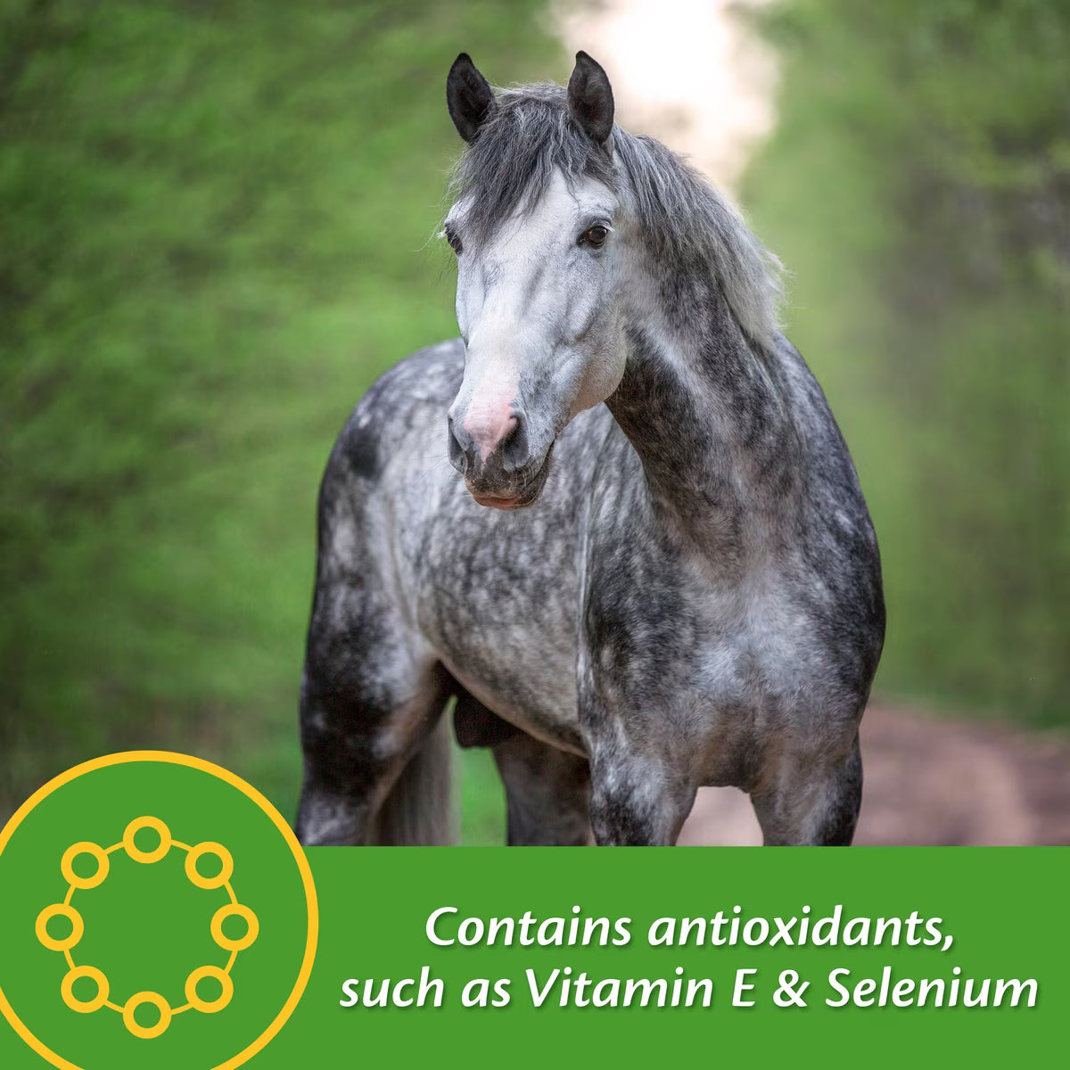 Farnam Vita Plus Balanced Multi-Vitamin & Mineral Horse Supplement Pellets 3.75lb