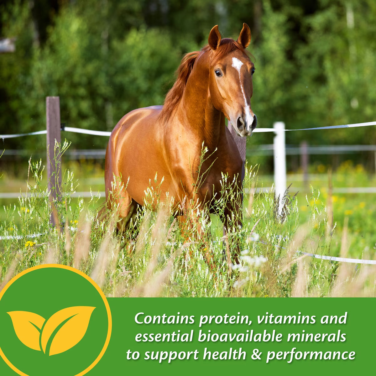 Farnam Vita Plus Balanced Multi-Vitamin & Mineral Horse Supplement Pellets 3.75lb