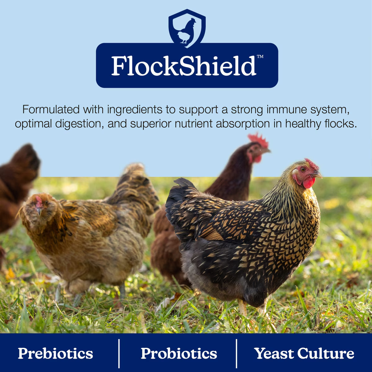 Nutrena NatureWise 20% All Flock Pellet 40lb