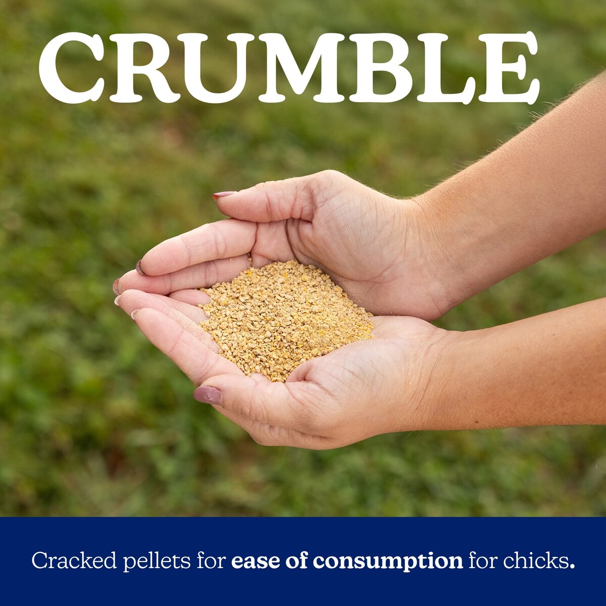 Nutrena NatureWise Chick Starter-Grower Medicated 18% Crumble 7lb