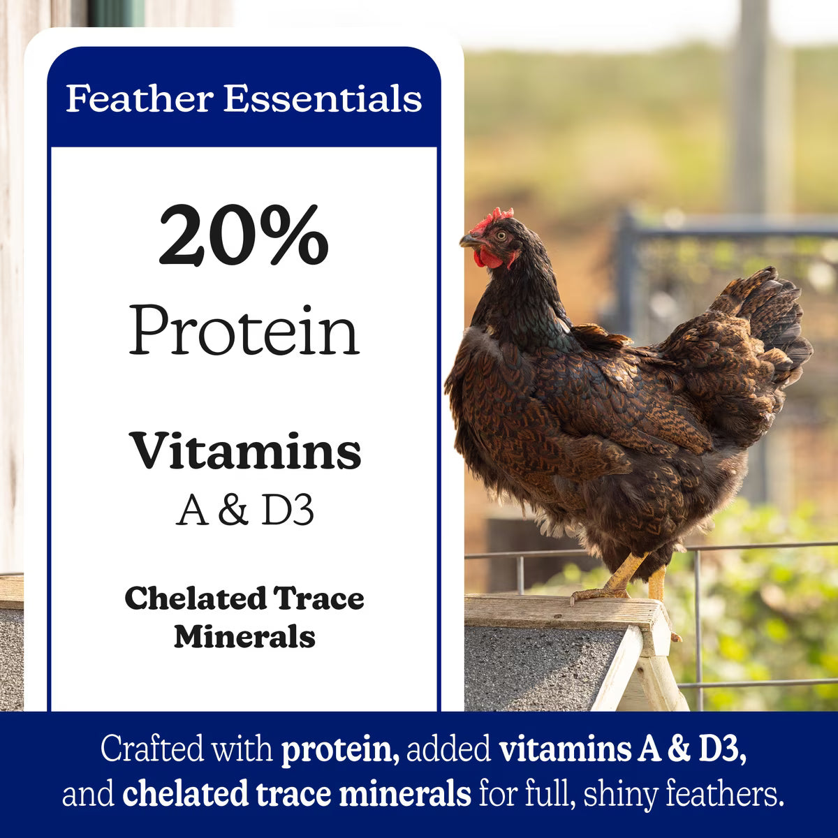 Nutrena NatureWise 20% Feather Fixer Pellet 40lb