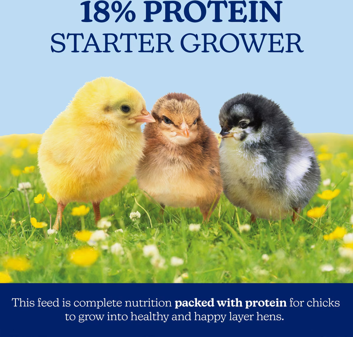 Nutrena NatureWise 18% Non-Medicated Chick Starter-Grower Crumble 40lb