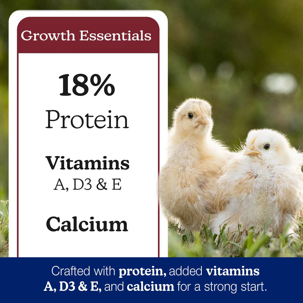 Nutrena NatureWise 18% Non-Medicated Chick Starter-Grower Crumble 40lb
