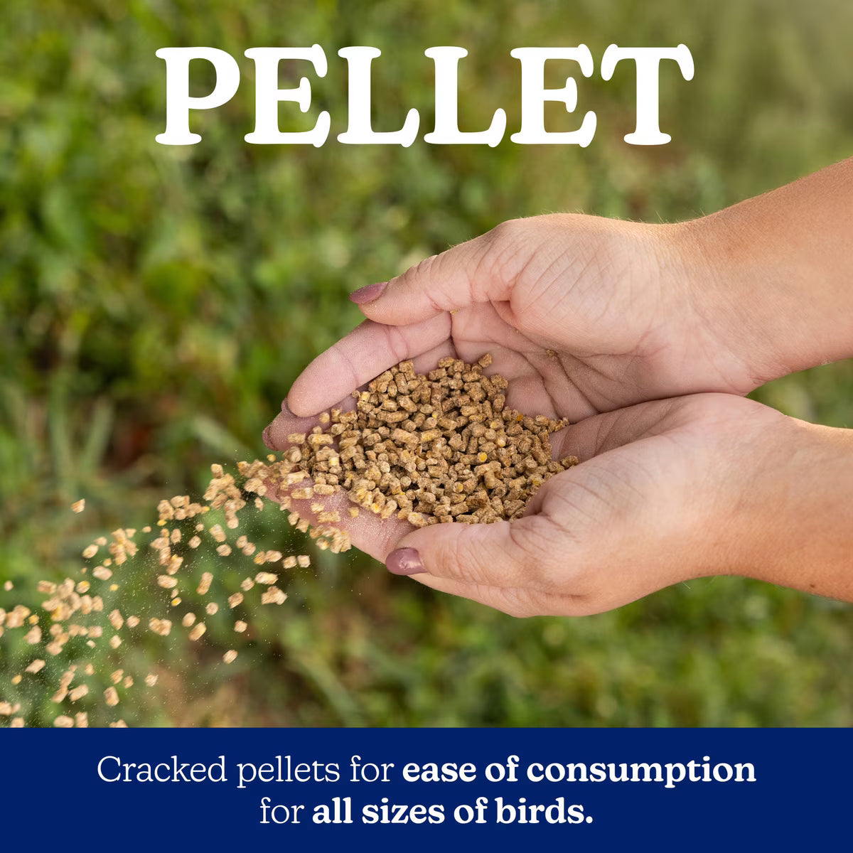 Nutrena NatureWise 20% All Flock Pellet 40lb