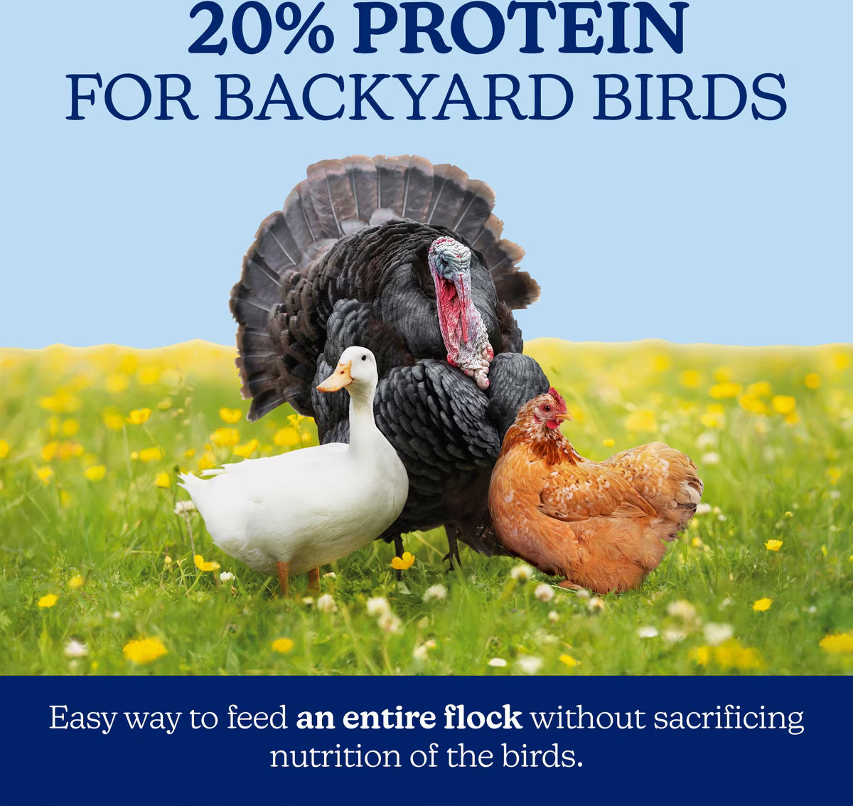 Nutrena NatureWise 20% All Flock Pellet 40lb