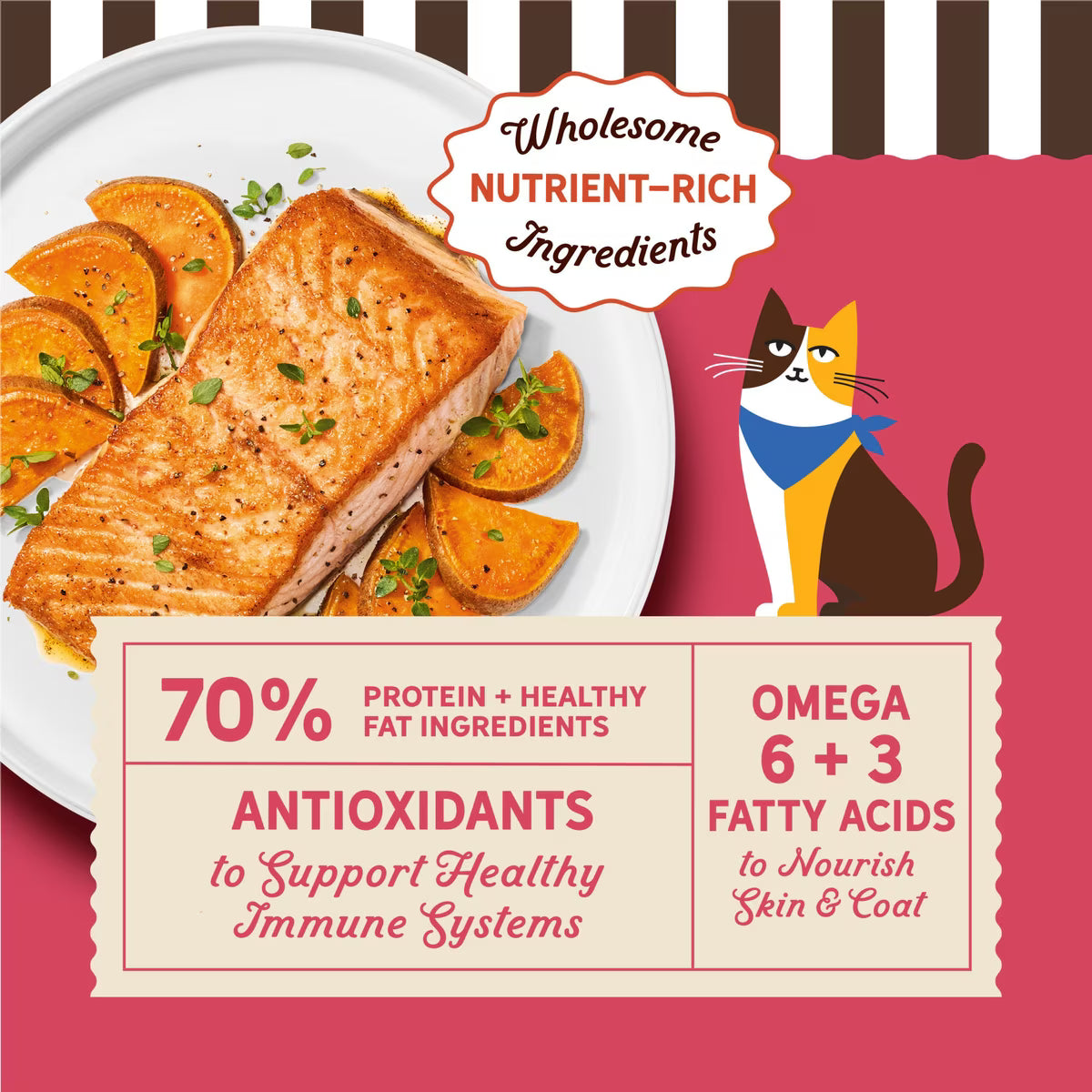 Merrick Purrfect Bistro Grain-Free Salmon & Sweet Potato Recipe Dry Cat Food 12lb