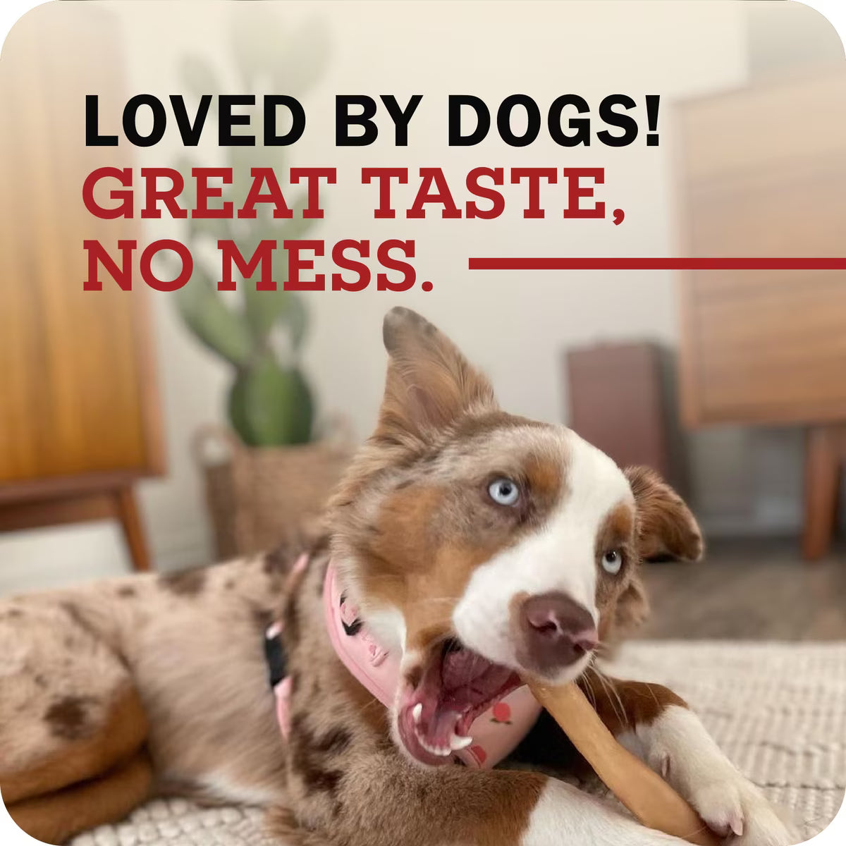 RB Collagen Stick Dog Treat xl