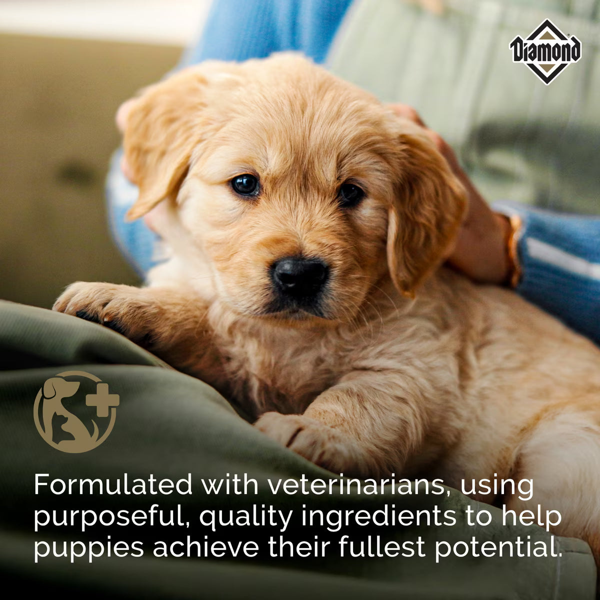 Diamond Puppy All Life Stages High Protein 31/20 Formula for Puppies 40lb