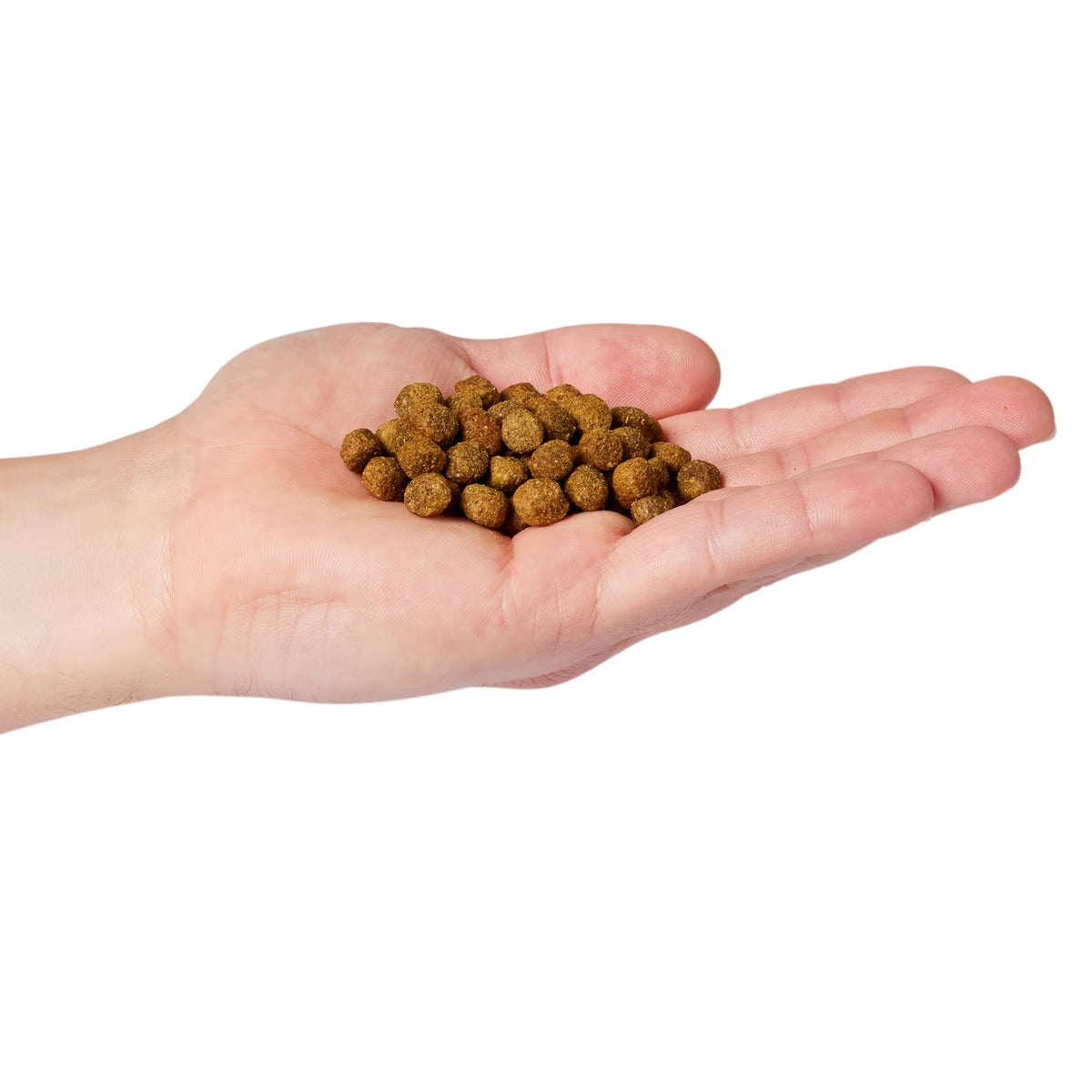 CANIDAE All Life Stages Real Salmon & Ancient Grains Recipe Dry Dog Food 27 lbs