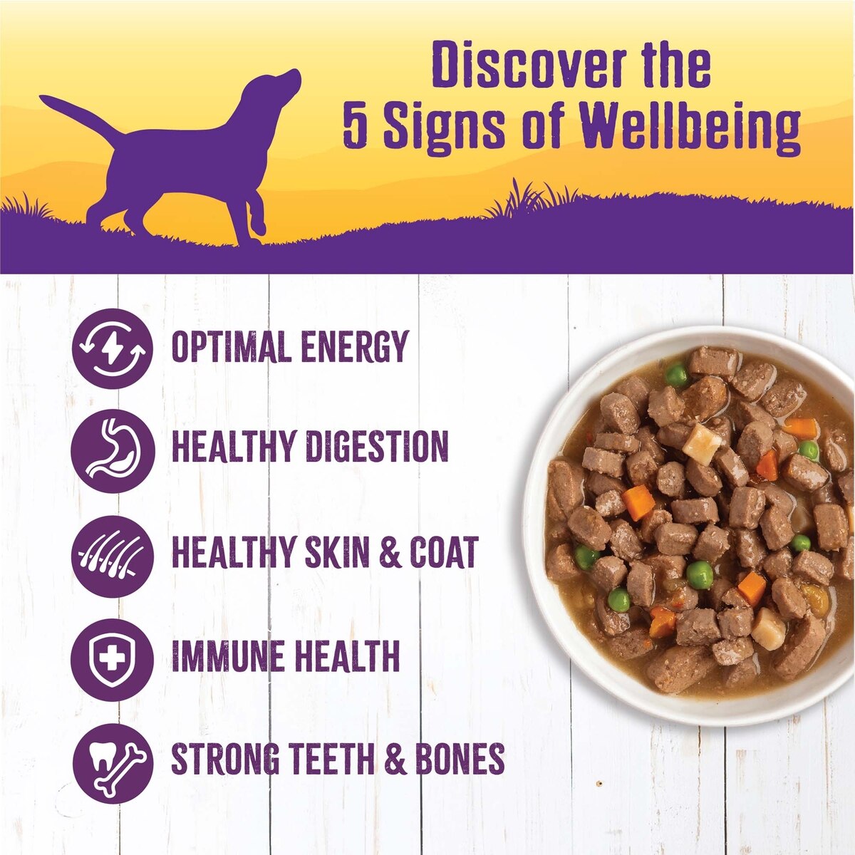 Wellness Chicken Stew Grain-Free Natural Canned Dog Food 12.5oz