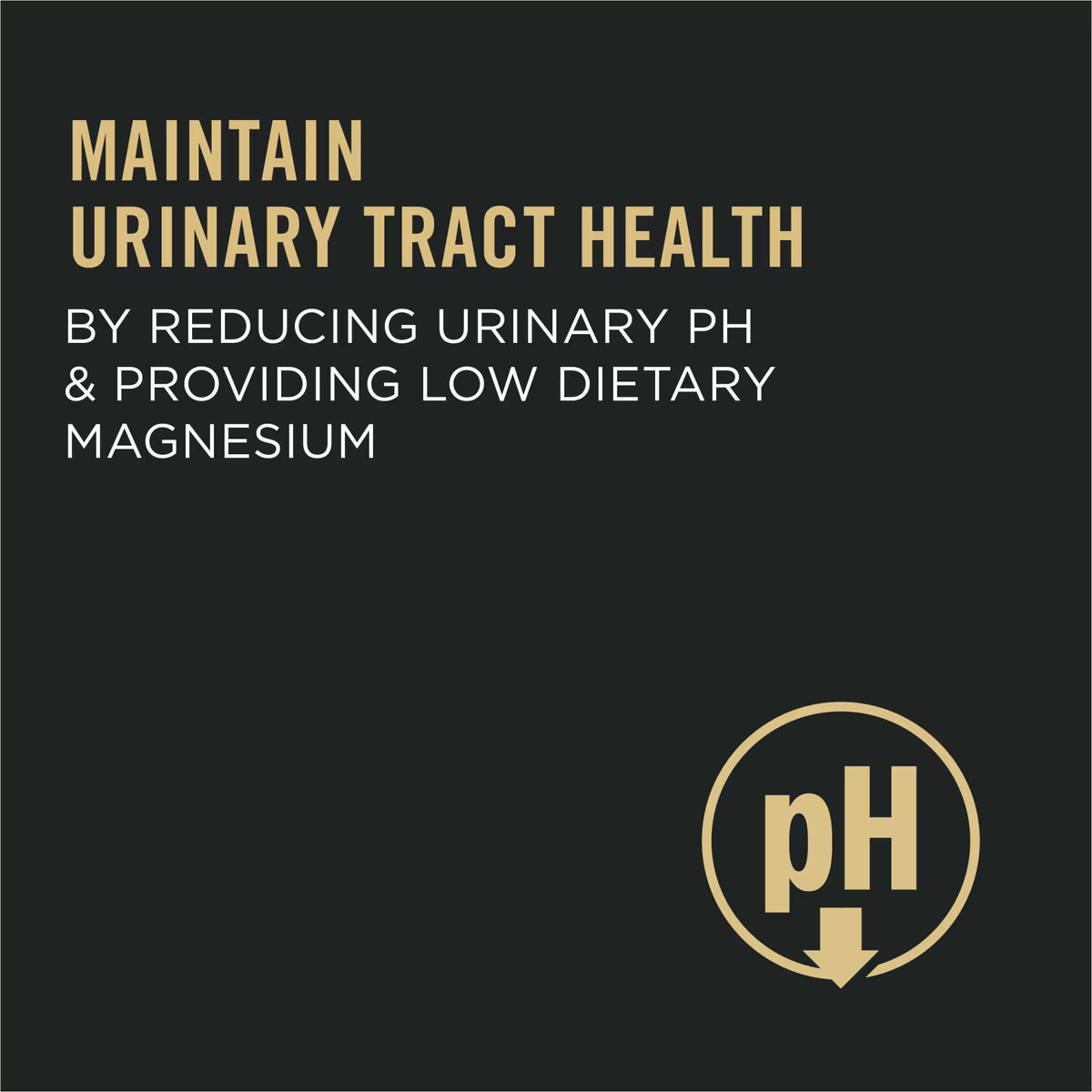 Purina Pro Plan Adult Urinary Tract Health Formula Adult Dry Cat Food 7lb